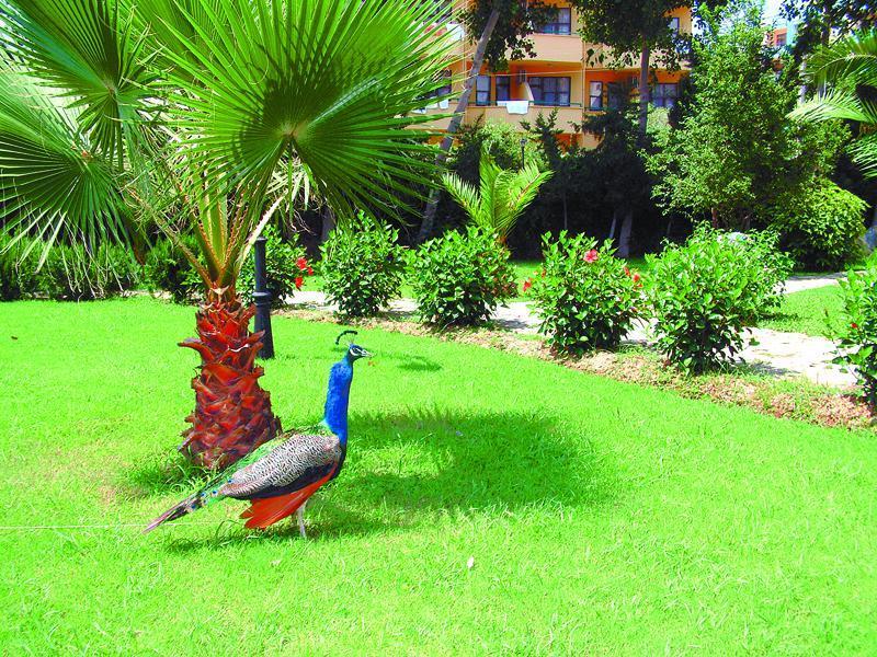 מהמוטלר Green Peace Hotel מראה חיצוני תמונה